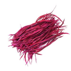 DIY Craft Loose Goose Biot Feather Dyed For Your Creative Projects Decorations