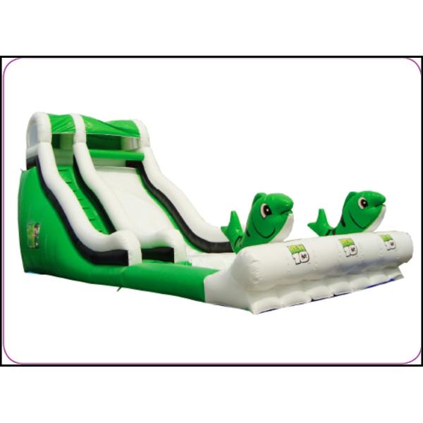 Giant Used Commercial Inflatable Slide for Sale Large Inflatable Kids Slide HD-9402