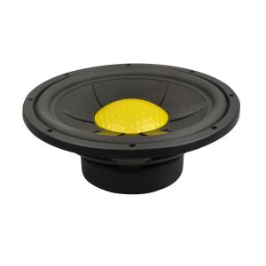 China 10 steel frame 2 voice coil street subwoofer on sale