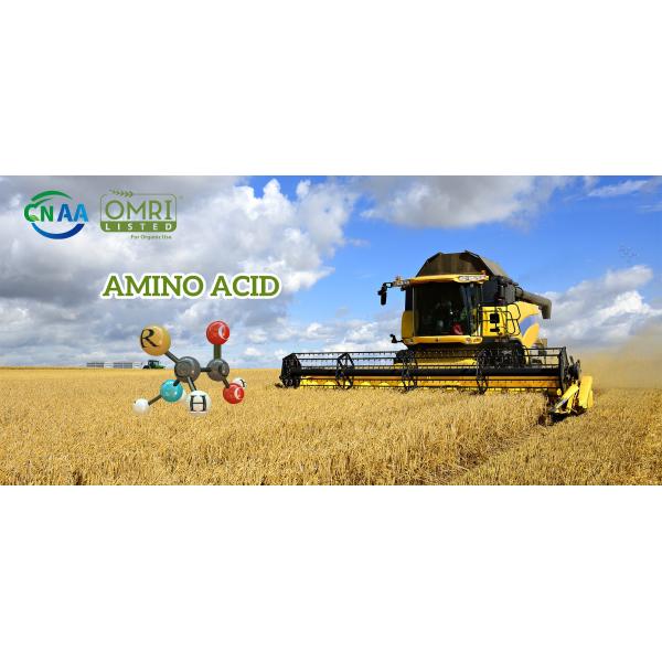 15-1-1 Case Pure Protein Dry Organic Fish amino Acid Fertilizer Made From Cod Fish Hydrolysate