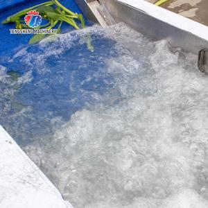 Sludge Stripping Kumquat Fruit Vegetable Washing Machine Water Pump Surfing