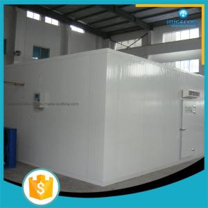 Freon Refrigerant Commercial Cold Room for Meat Fish Food Fruit Chicken and