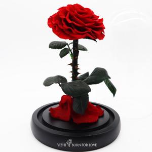 Preserved 14*14*22CM Long Stem Glass Roses For Wedding