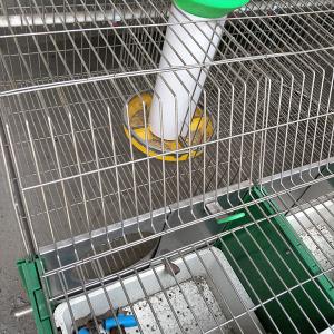 Q235 Steel Wire Farm Rabbit Hutch For Commercial Farming