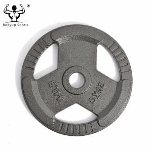 2-Inch Standard Grip Plates Cast Iron Weight Lifting Dics