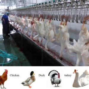 New Arrival Automatic 2000BPH Poultry Chicken Slaughtering Machine Line