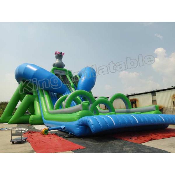 Outdoor Duck Shape Giant Inflatable Blow Up Water Slide For Kids And Adults