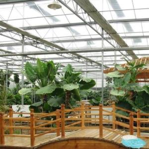 Garden Vegetables and Flowers Arched Roof Glass Greenhouse with Hydroponics