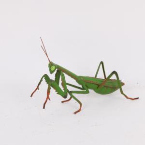 China Small Iron Vivid Insect Lawn Decorations Metal Garden Decorations on sale