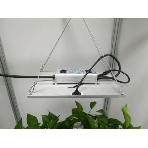 UL 310nm Quantum Board Led Grow Lights For Mushroom