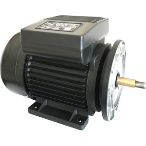 Copper 2800rpm 1.5KW Single Phase Induction Motor MYT711-2