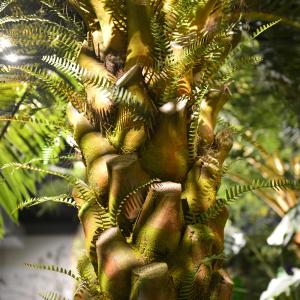 No Nursing Store Artificial Landscape Trees Big Date Palm Tree Customized Size