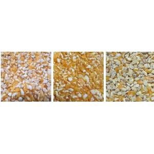 10 Chutes Color Sorter Multifunctional Grain Sorting Machine For Cereal