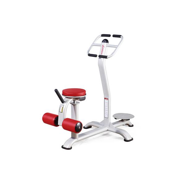 Buy Gym Dedicated Life Fitness Strength Equipment Durable Seated Twist Trainer at wholesale prices