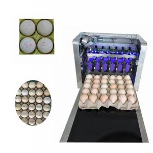 Automatic Egg Printing Machine For Date , Time , Serial Number