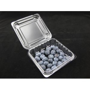 125g Blueberry Clamshell Plastic Packaging Boxes Impact Resistance