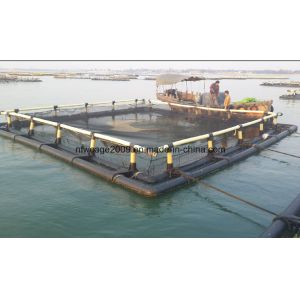 Commercial HDPE Floating Aquaculture Fish Cage with High Extensity and