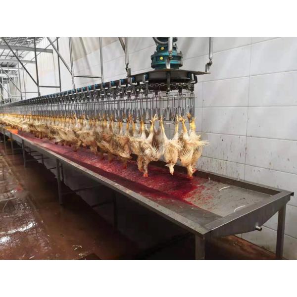 Halal Chicken Slaughter Line/Equipment for Other Processing and Performance