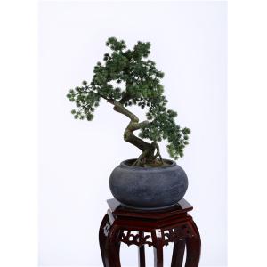 Quality Waterproof Bonsai Pine Tree Strong UV Resistance Podocarpus Macrophyllus for sale