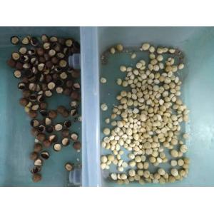 Wifi Remote Control Wenyao Color Sorter With Touch Screen Intelligent