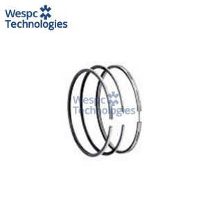 WESPC 1822337C91 piston ring kit for Perkins 1300 Series diesel engines