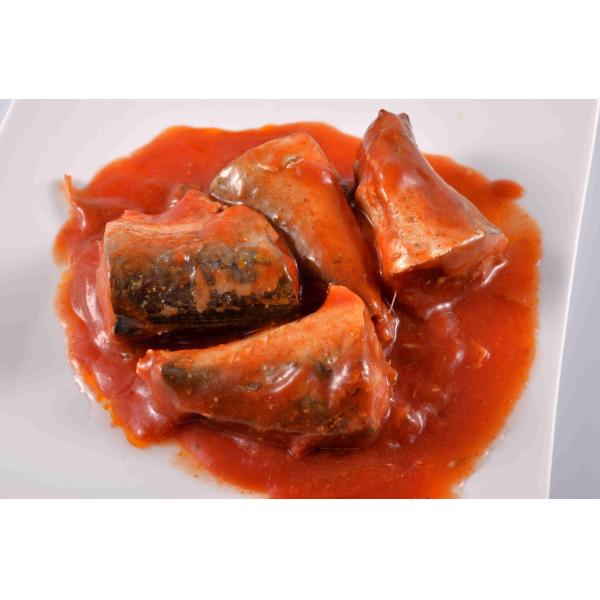 Private Label Atlantic Mackerel Canned Fish In Tomato Sauce Without Chili Pepper