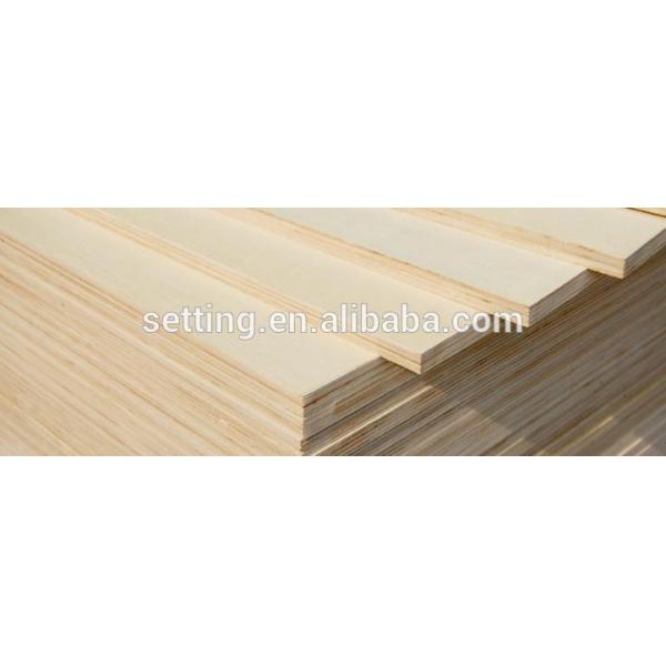 acrylic face pvc foam board in water -proof ,light weight for wardrobe ,sliding doors