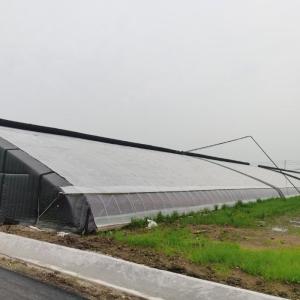 Hot-DIP Galvanized Steel Pipe Structure Tunnel Cultivation Method Photovoltaic