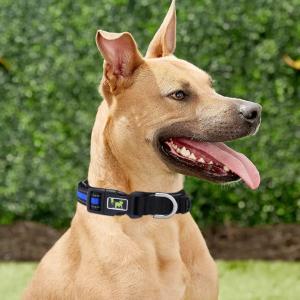 Modern Custom Dog Collar And Leash Adjustable Kit Pet Matching