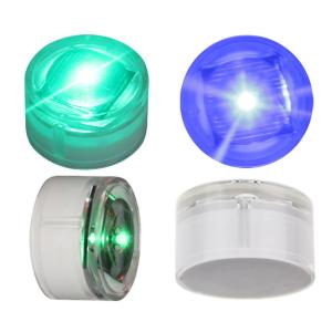 IP67 Waterproof Aluminum Solar Dock Light with Bule/Cold White Lighting and -20C