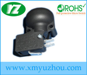 Environmentally-Friendly Electric Heater with Single Control Switch and Dump