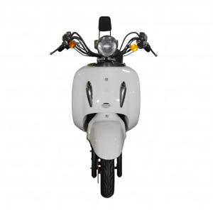 LY-FGG19Electric motorcycle Electric bicycle adult electric scooter