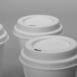 Bagasse Molded Pulp Leakproof 8oz 250ml Biodegradable Cups And Lids