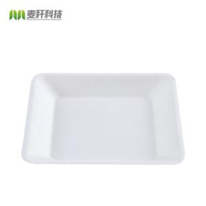 Compostable disposable bagasse food container biodegradable sugarcane tableware