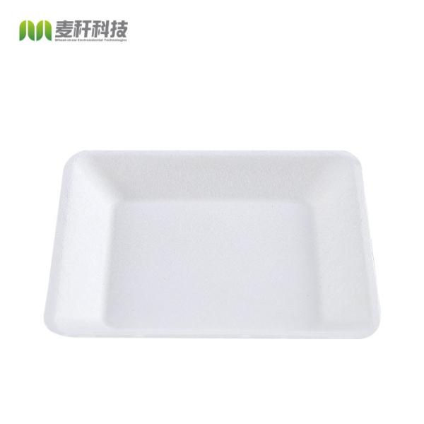 Compostable disposable bagasse food container biodegradable sugarcane tableware
