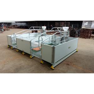 Farm Galvanized Piglet Slat Sow Pig Farrowing Crate