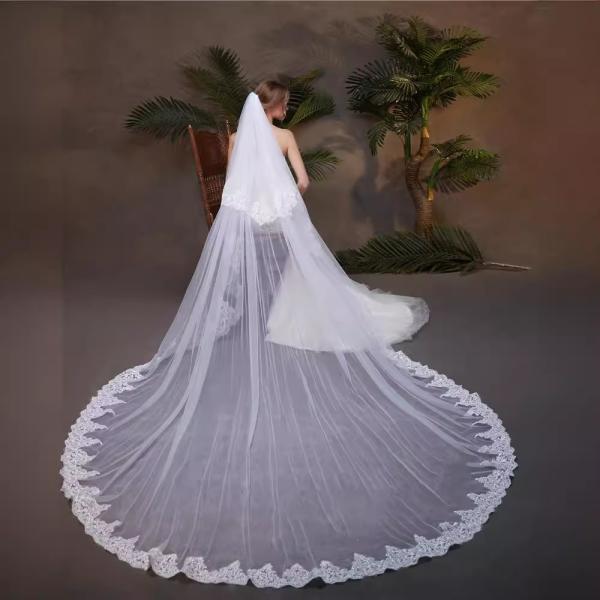 New Styles Customized Two Layers Appliqued Lace 3.5m*3m Cathedral Tulle Bridal Wedding White Veil With Hair Comb