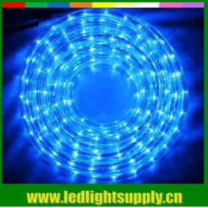 Led flexible led strip 1/2'' 2 wire rope duralights with low volt 24/12v