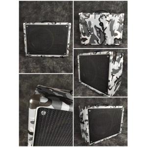 Custom Grand Guitar Bass Amplifier Speaker Cabinet with Kinds Tolex and Speaker