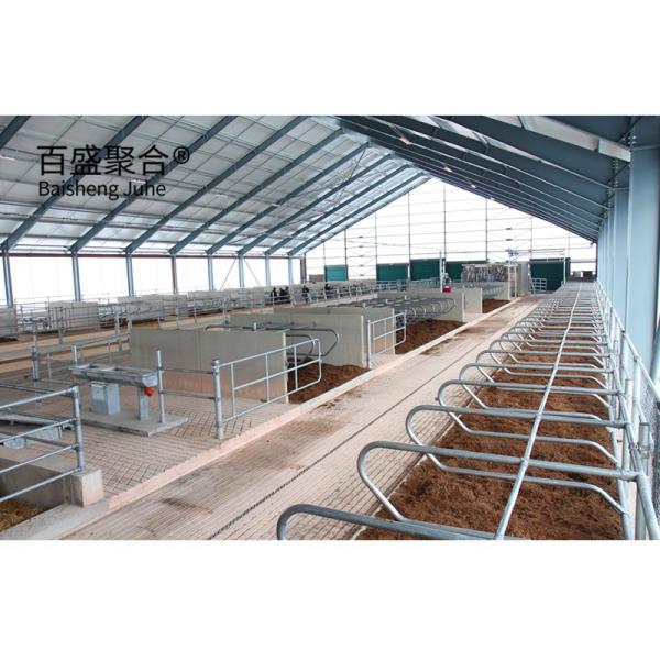 Affordable Sliding Door Steel Structure Cattle Barn Cowshed Farm with AutoCAD