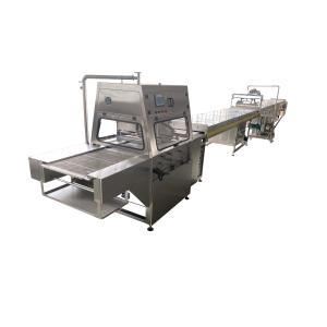 Papa P400 6-Row Protein Bar Production Line High Capacity Industrial System For