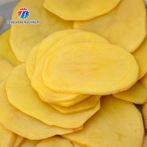 1000KG/H 80KG Vertical multi-function vegetable slicer balanced onion slicer