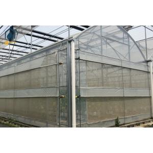 Agricultural Multi Span Strawberry Green House Plastic Shed Tomato Tunnel