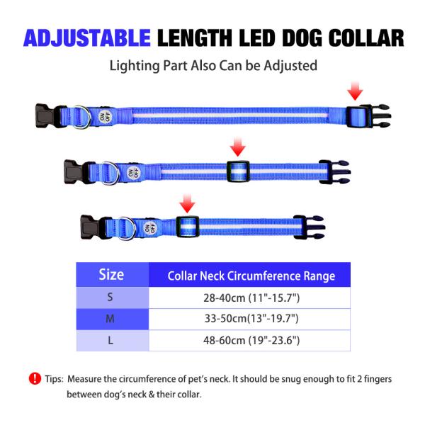 Abs Usb Led Dog Collar Lead Collar For Dogs with Water Resistant Flashing Light