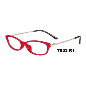 Young Generation Optical Plastic Metal Eyeglasses Frames Food Contact Material