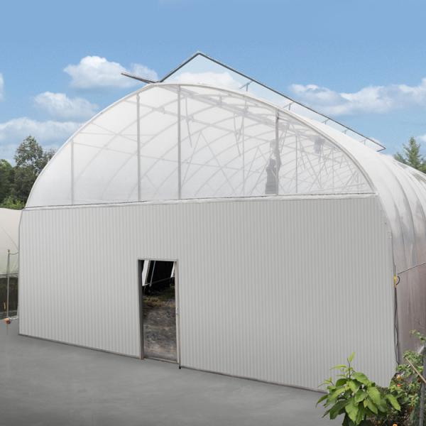 Buy Hydroponics System Automatic Blackout Greenhouse Medical Mushroom Growing at wholesale prices