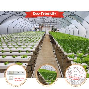 China tunnel green house vegetable lettuce pe film greenhouse with nft on sale