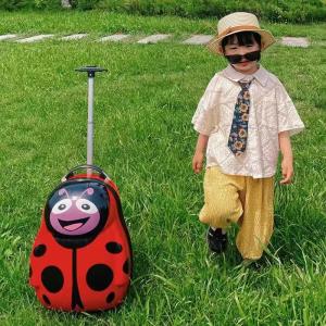 Quality Sturdy Polyester Ride On Trolley Bag , Moistureproof Childrens Hard Luggage for sale