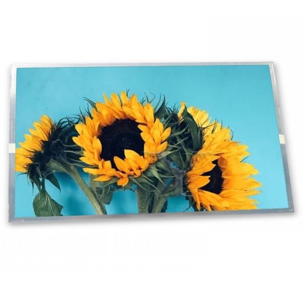 Buy LSL080AL02-Y01 Quality Suppliers 8 Inch Industrial Control Lcd Screen 800*1280 Good Price Lcd Display Panel at wholesale prices