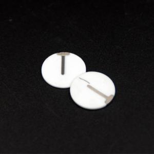 Mini Ceramic Ozone Plate 15mg/H 110V 220V For Ozone Machines